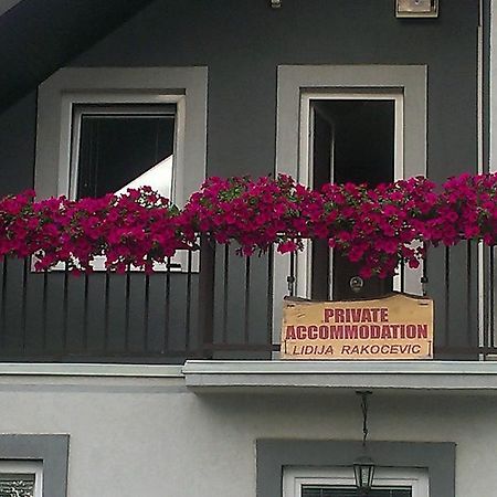 Private Accommodation Lidija Rakocevic Kolasin Luaran gambar